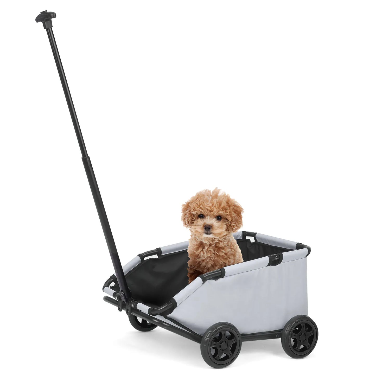 Small dog sitting in a pet stroller on a white background