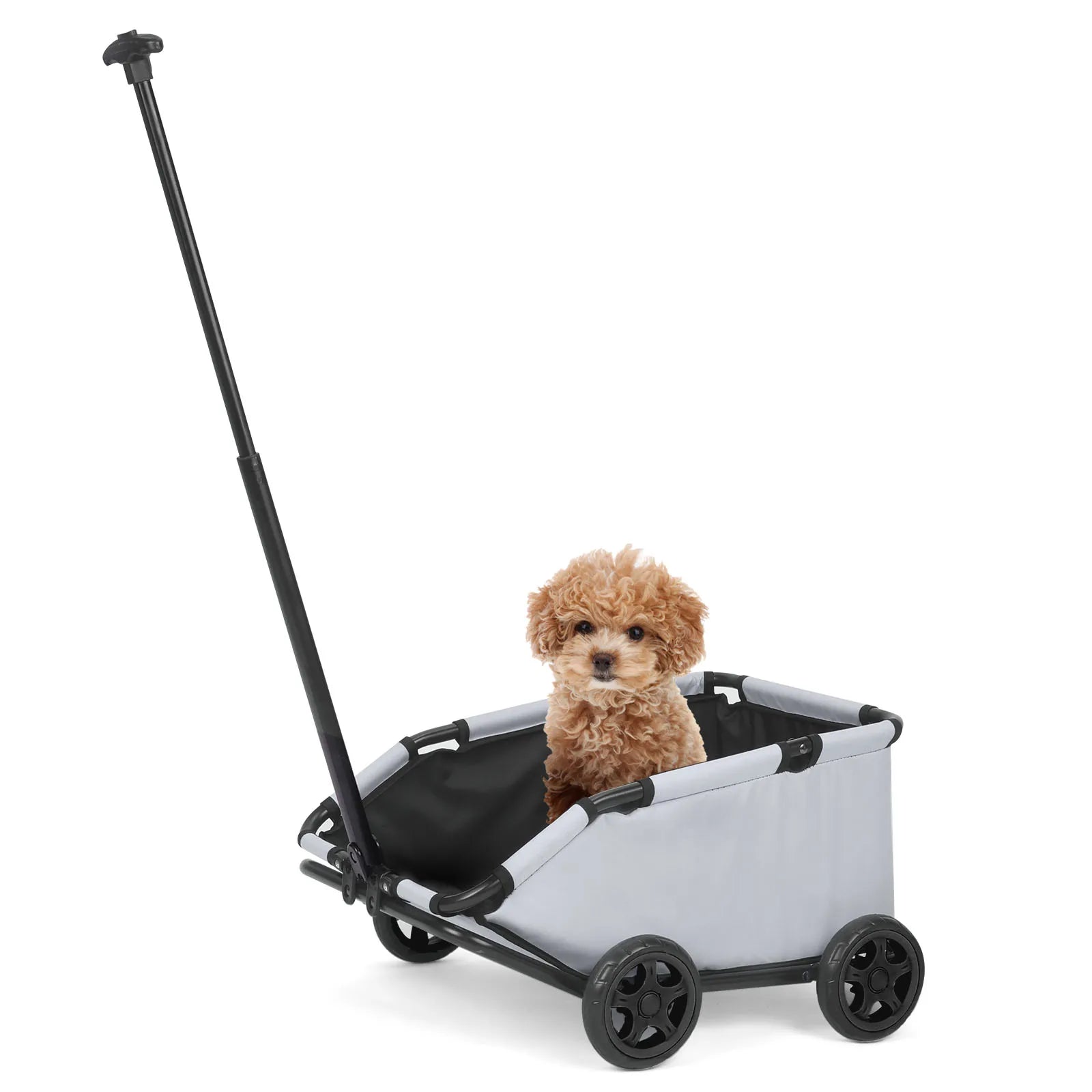 Small dog sitting in a pet stroller on a white background