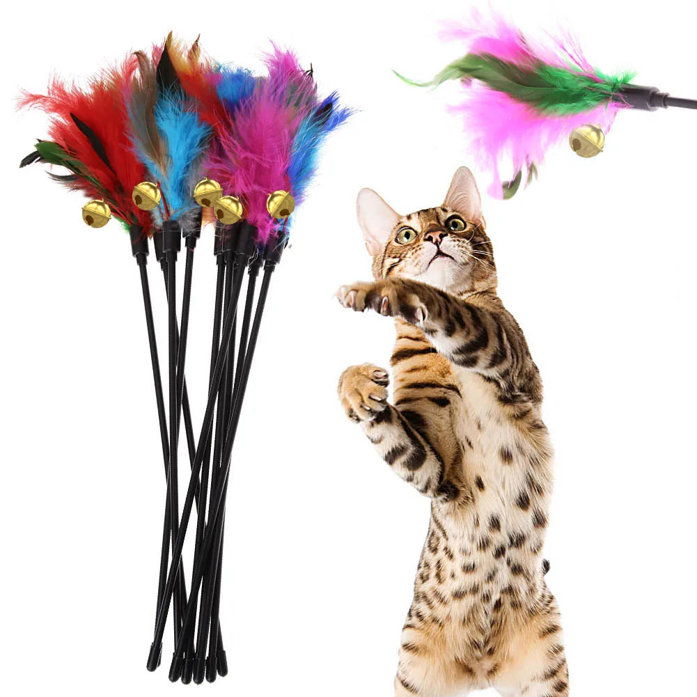 Intelligent Worm Cat Toy – Motion Activated Teaser for Indoor Cats - Waggley Tails