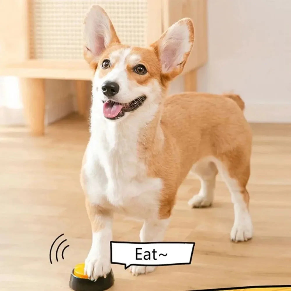 Dog standing on a wooden floor with a toy labeled 'Eat' in front of it.