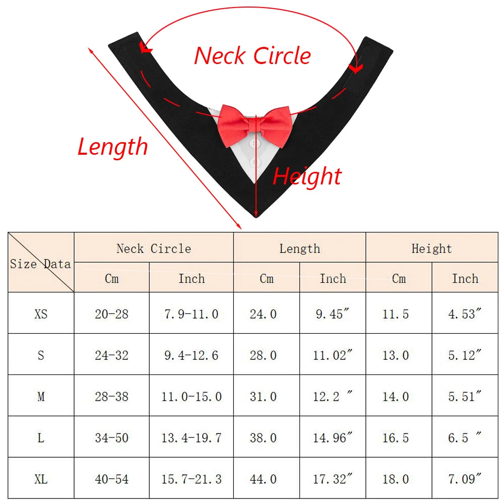 Measurement chart for a black bow tie with labeled neck circle, length, and height, and size data in centimeters and inches.