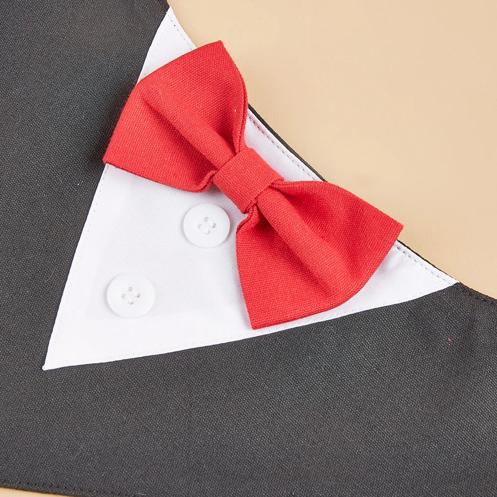 Red bow tie on a shirt collar with a neutral background