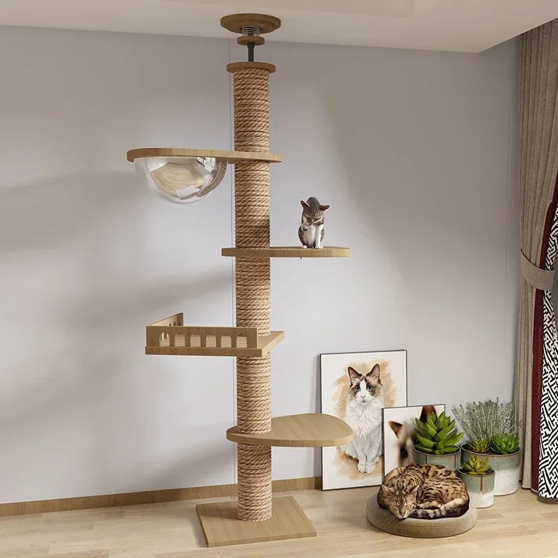 Cat tree with shelves and a cat sitting on it, surrounded by framed pictures of cats and plants.