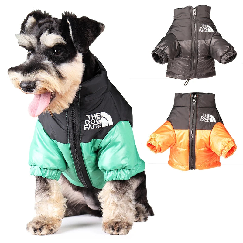Reflective winter coat for French Bulldog and Chihuahua.