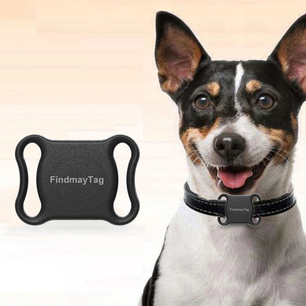 Dog wearing a black collar with a FindmayTag device on a beige background