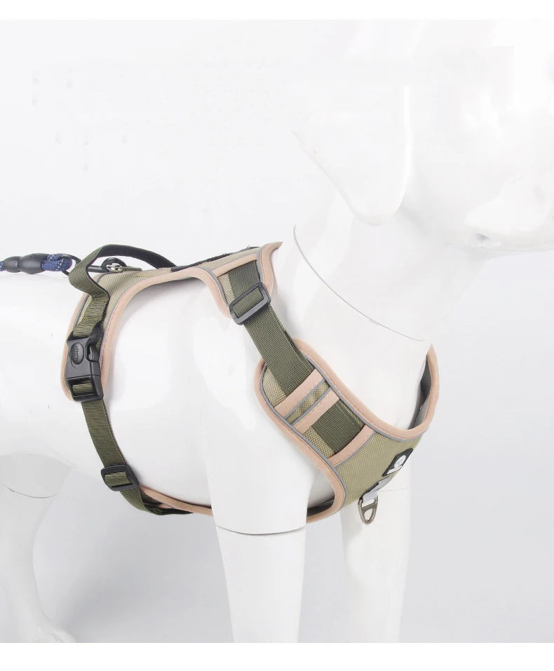 Dog wearing a reflective adjustable harness during an evening walk.