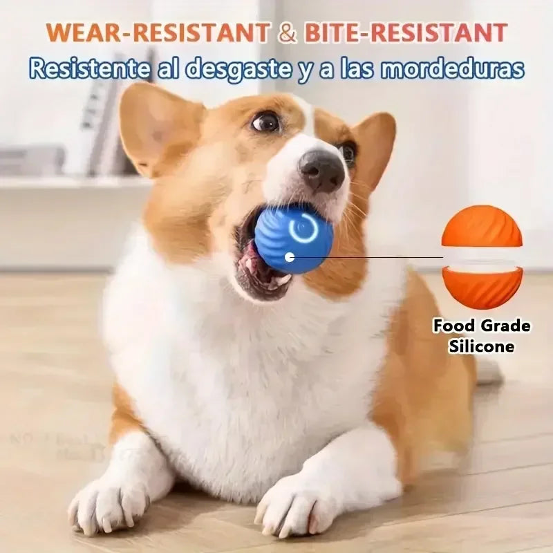 Dog playing with a blue ball, with text about wear-resistance and bite-resistance, and an image of a silicone ball.