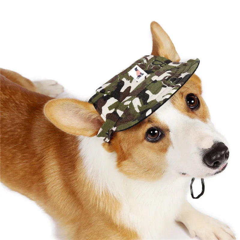 Dog wearing a camouflage hat on a white background