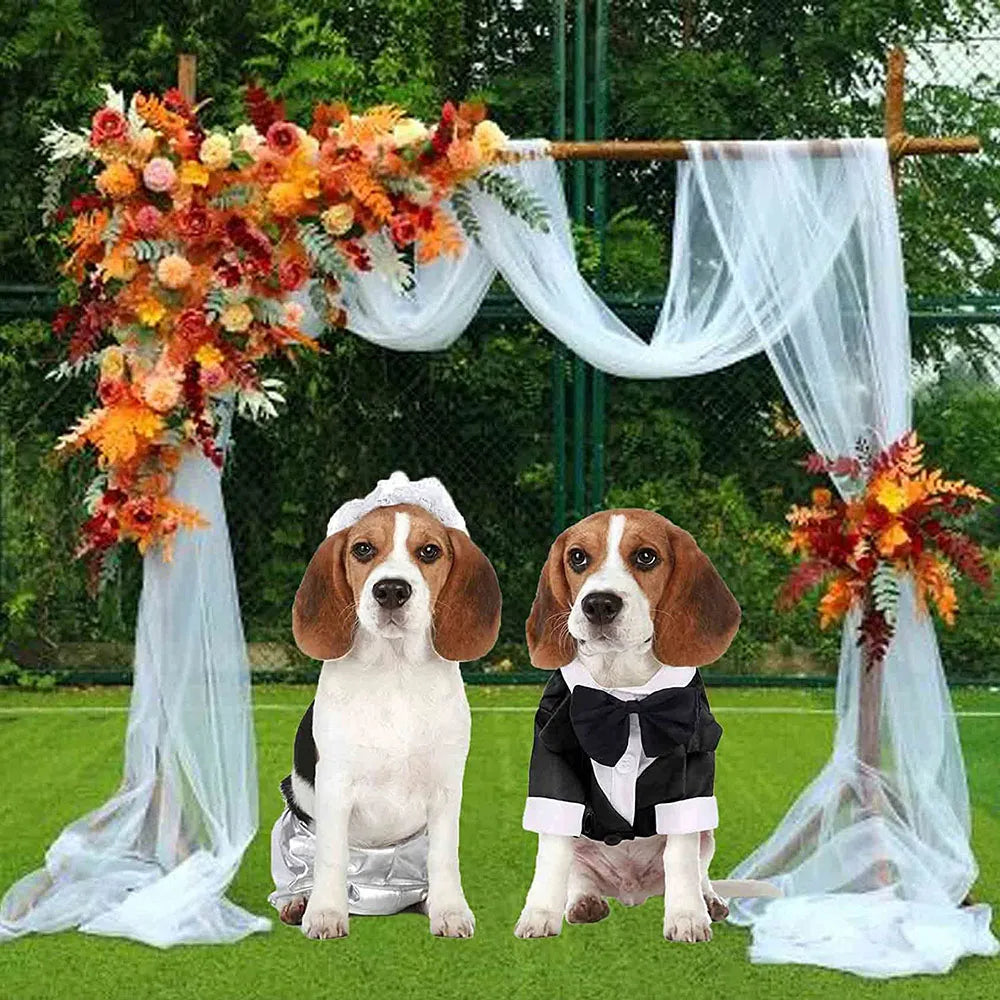 Two dogs dressed in wedding attire sitting under a floral archway.