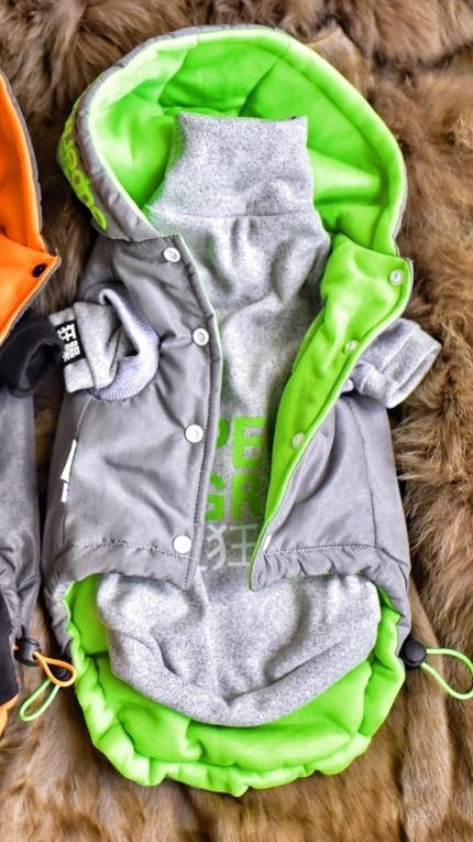 Cozy Winter Coat for Your Hairless Cat - Waggley Tails
