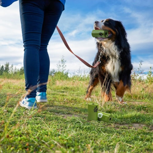 Dog with a green toy in its mouth standing on grass with a person walking away