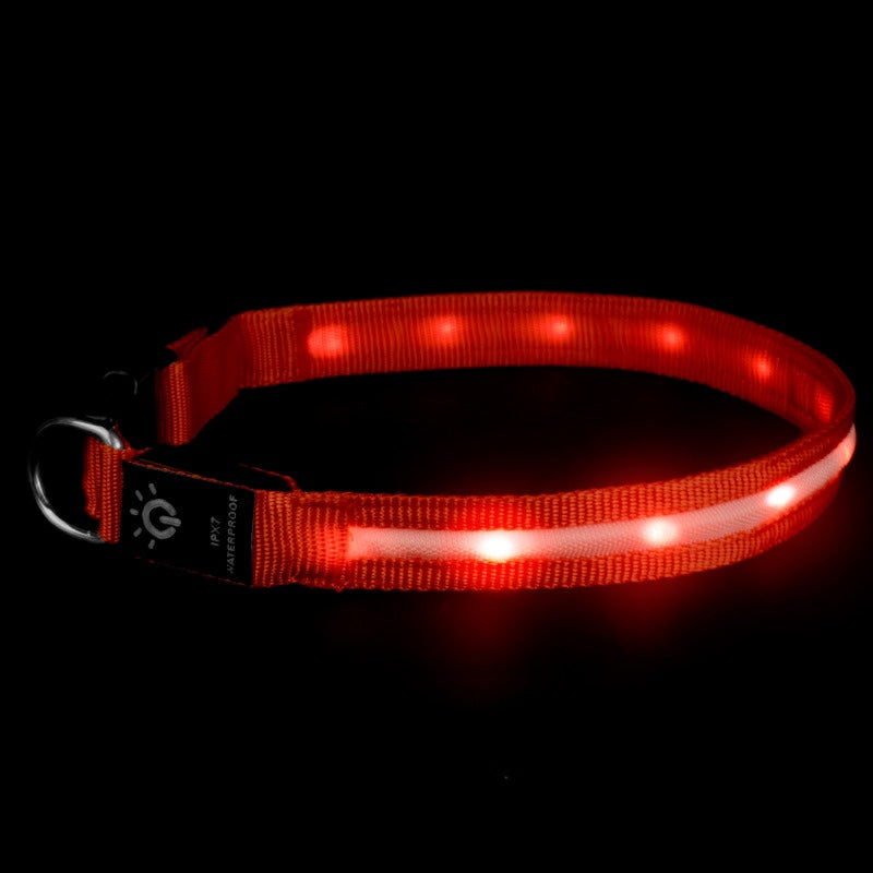 Night Waterproof Lighting Collar Night - Waggley Tails