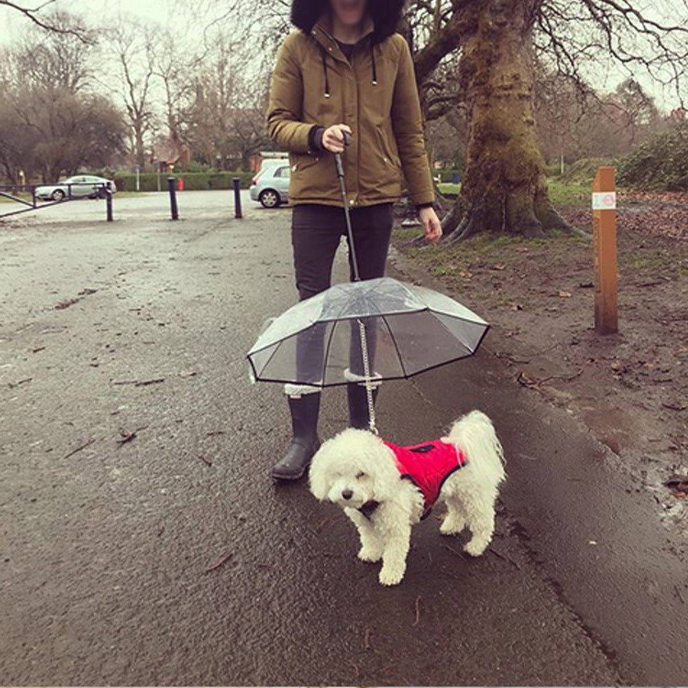 Transparent Pet Umbrella - Waggley Tails