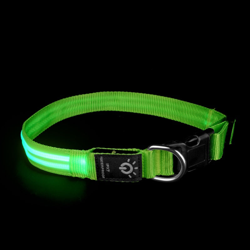 Night Waterproof Lighting Collar Night - Waggley Tails