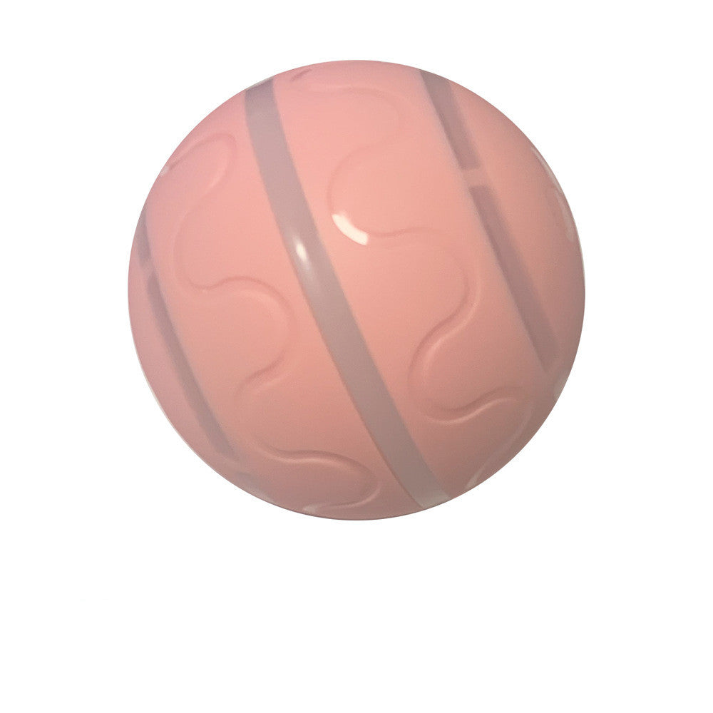 Pet New Cat Wicked Ball Toy - Waggley Tails