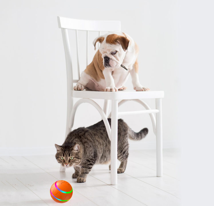 Pet New Cat Wicked Ball Toy - Waggley Tails