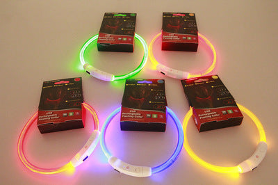 Pet Flashing Collar USB Rechargeable Glowing Necklace Safety Collar Light Up Collars For Night Walking Electric Dog Collar Neon - Waggley Tails