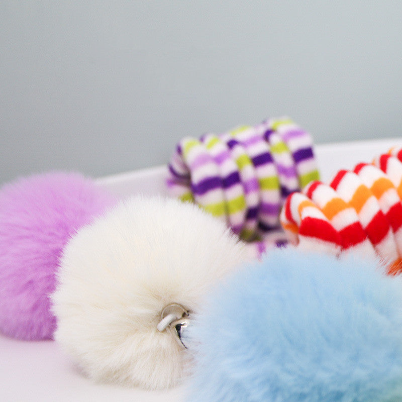 Pet Kitten Spring Cat Toy - Waggley Tails