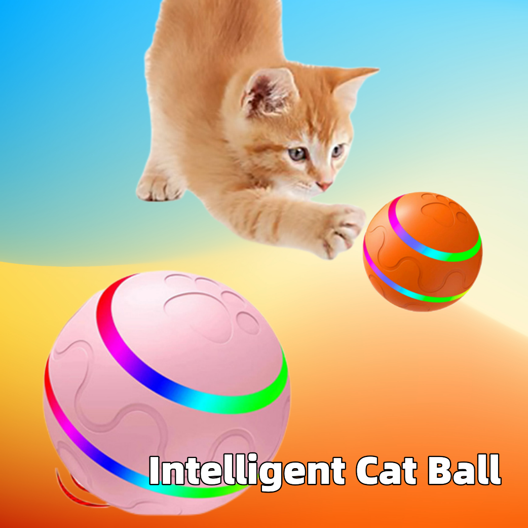 Pet New Cat Wicked Ball Toy - Waggley Tails