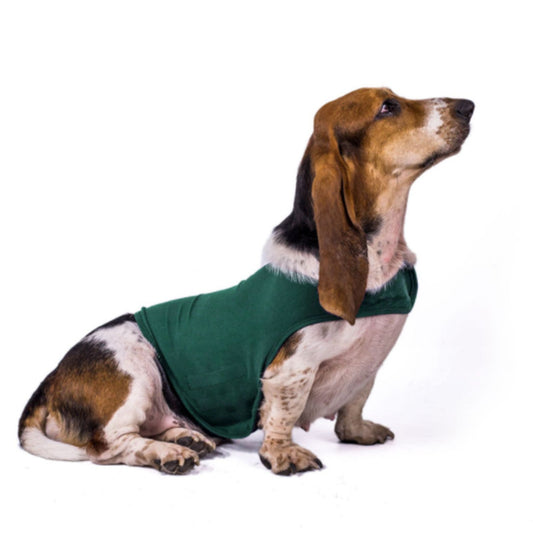 Calming Comfort: Anxiety-Reducing Dog Jacket - Waggley Tails