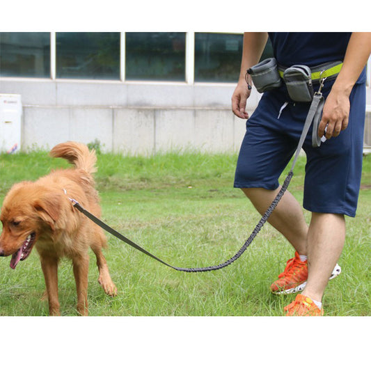 Adjustable Hands-Free Dog Leash: Safe & Easy Walks for UK Dogs 🚶‍♀️🐕 - Waggley Tails