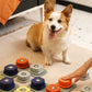 Talk to Me: 4-Color Pet Communication Button - Waggley Tails
