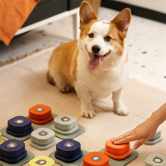 Talk to Me: 4-Color Pet Communication Button - Waggley Tails
