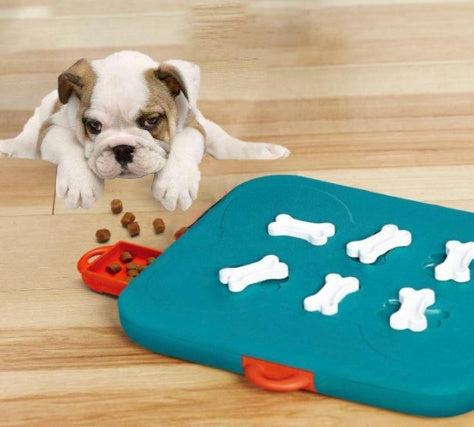 Treasure Hunt Treat Dispenser - Waggley Tails