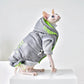 Cozy Winter Coat for Your Hairless Cat - Waggley Tails