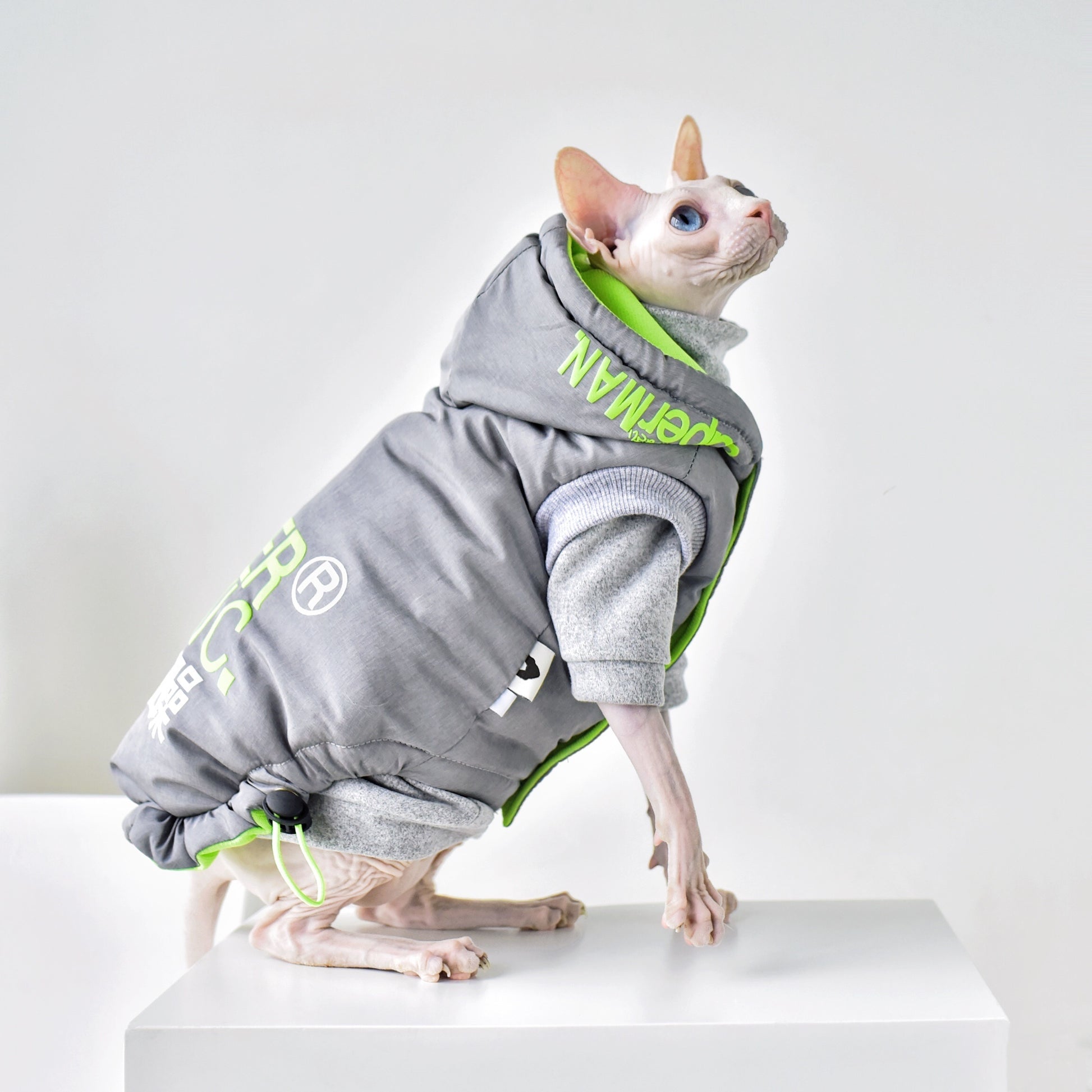 Cozy Winter Coat for Your Hairless Cat - Waggley Tails