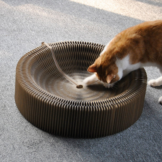 Foldable Corrugated Scratching Board - A Cat's Dream - Waggley Tails