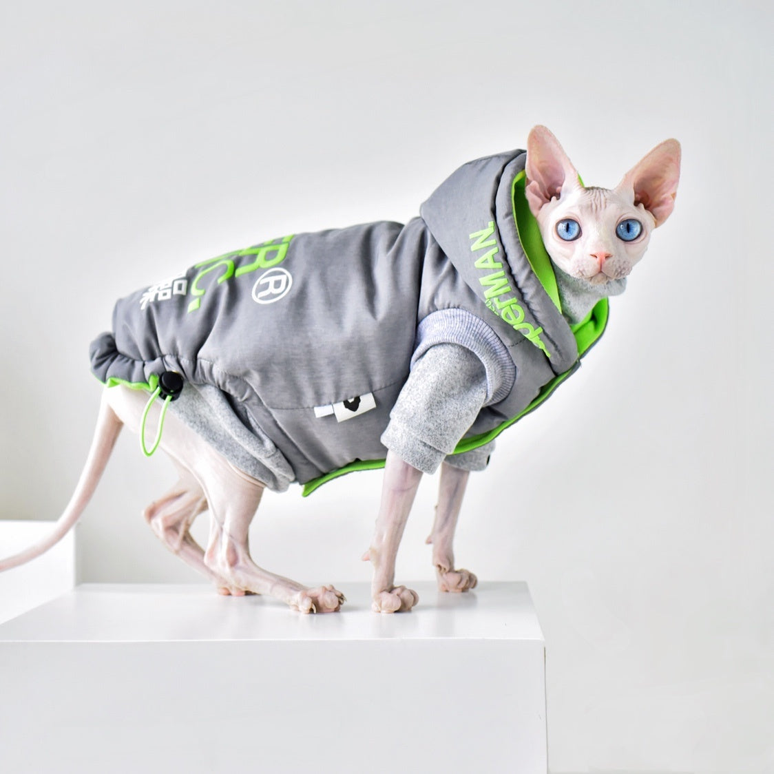 Cozy Winter Coat for Your Hairless Cat - Waggley Tails