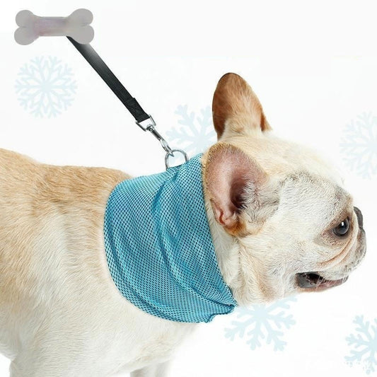 New Instant Cooling Pet Bandana Dog Scarf Summer Cooling Towel Wrap Dog Collar - Waggley Tails