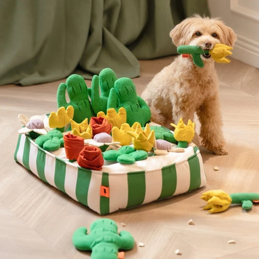 Musical Garden Hide-and-Seek Toy for Pets - Waggley Tails
