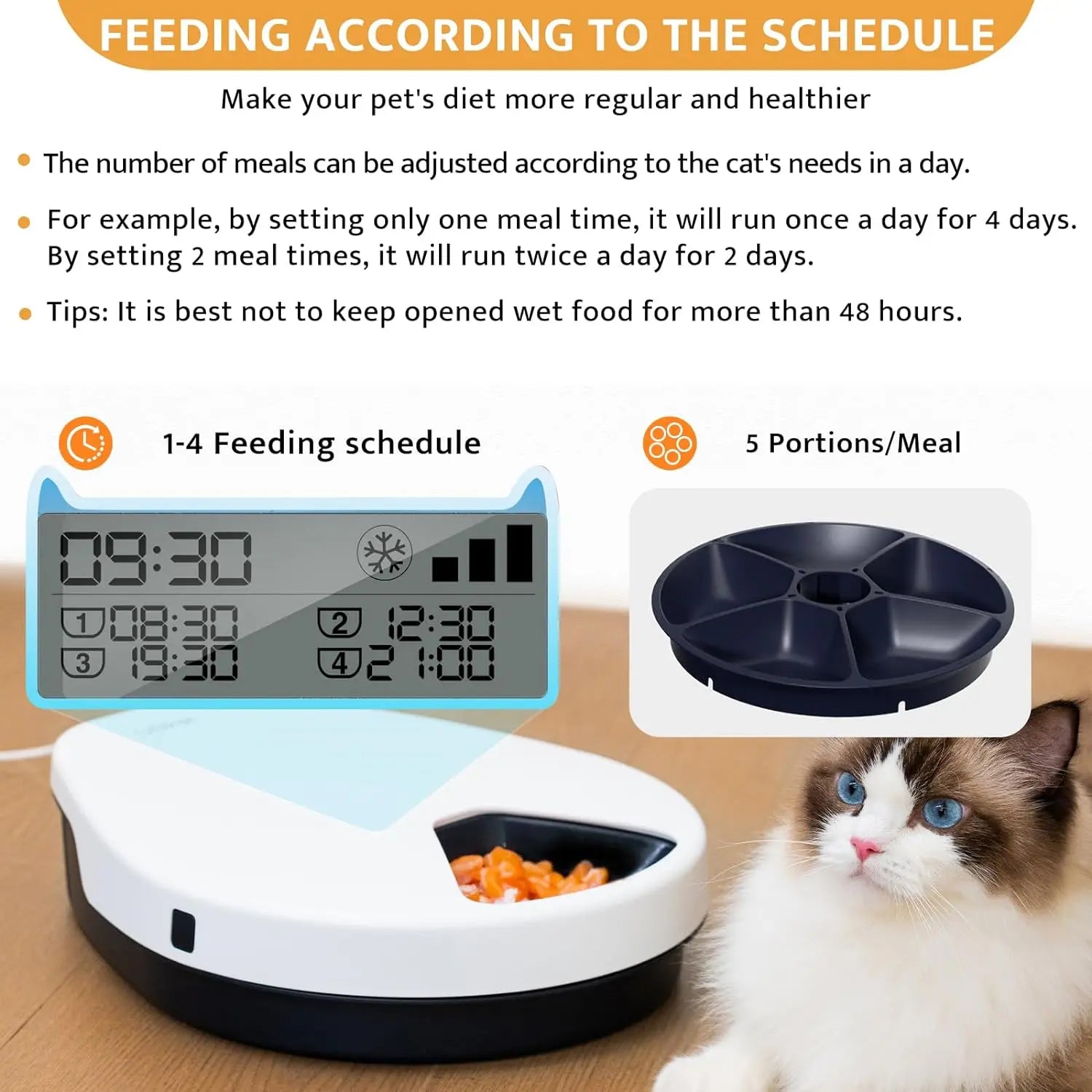 Pet feeding system with digital timer and food dish, accompanied by a cat.