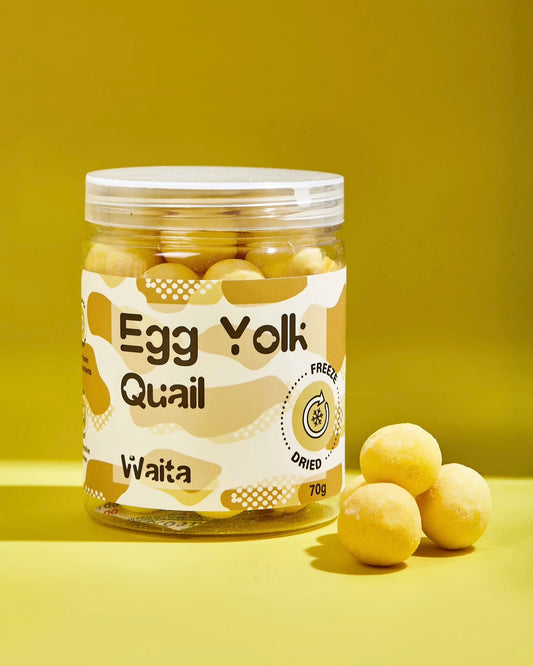 Jar of egg yolk quail products with a yellow background