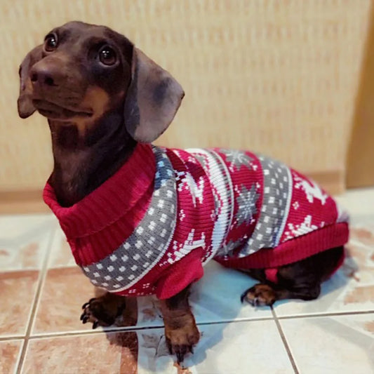 Warm wool dog sweater in red for Autumn and Winter.
