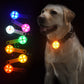 Dog wearing a glowing collar with colorful light-up dog toys on a dark background