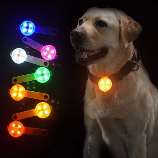 Dog wearing a glowing collar with colorful light-up dog toys on a dark background