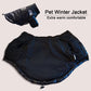 Dog wearing a cozy, padded jacket in winter snow.