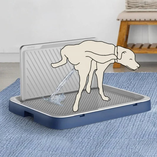 Dog using a self-cleaning dog bath mat with water spraying onto it.