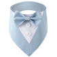 Light blue dog collar with bow tie and white shirt on a white background