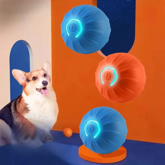 Dog playing with colorful ball toys against a vibrant background