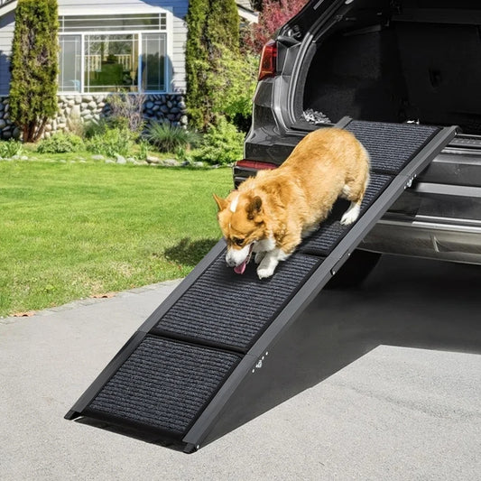 Dog using a black pet ramp to get into a car in a driveway.