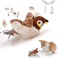 Rechargeable cat toy with catnip plush for indoor cats.