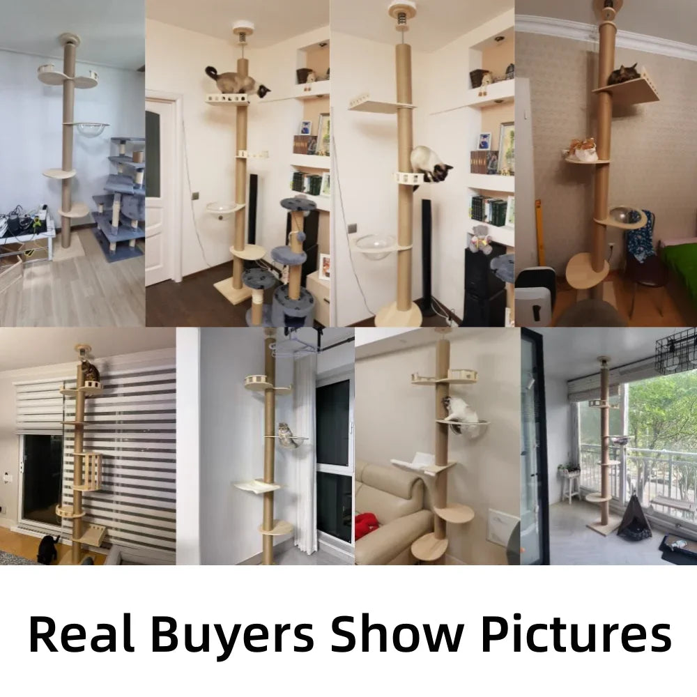 Collage of cat tree in various home settings with text 'Real Buyers Show Pictures'. Adjustable ceiling cat tree home decor
