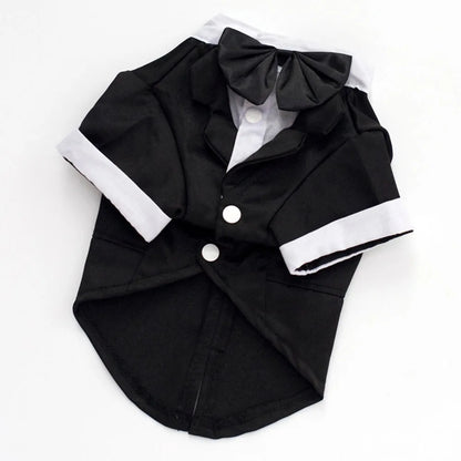 Black pet outfit with white trim and a large bow on a white background