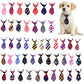 Collection of colorful dog ties with a puppy wearing one on a white background