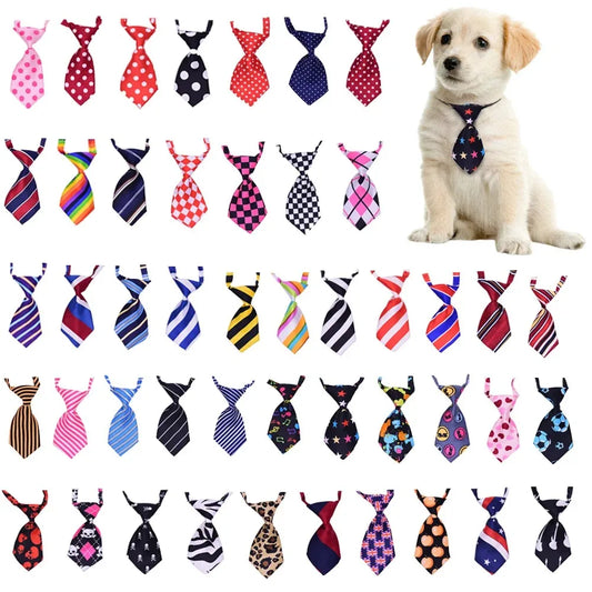 Collection of colorful dog ties with a puppy wearing one on a white background