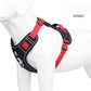 Large dog wearing a no-pull harness with a sturdy front leash clip.